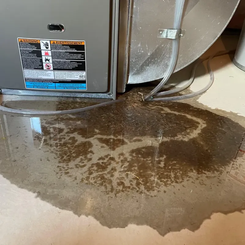 Appliance Leak Cleanup in Maury, NC